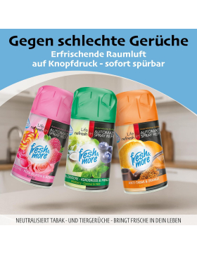 Fresh & More Lufterfrischer Nachfüller (12er Mix Pack) 250ml