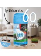 Fresh & More Lufterfrischer Nachfüller (12er Mix Pack) 250ml