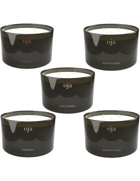 Oja Sojawachs Duftkerzen 5 Duftnoten Mix Pack (340 g 5er...