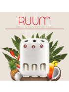 Ruum Refill Bottles (Pack of 6) Mix Compatible With 3Volution Fragrance Plug, 20ml