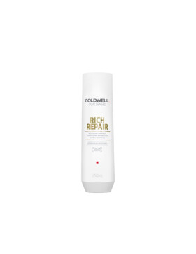 Goldwell Dualsenses Rich Repair Aufbau Shampoo, 250ml