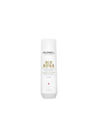 Goldwell Dualsenses Rich Repair Aufbau Shampoo, 250ml