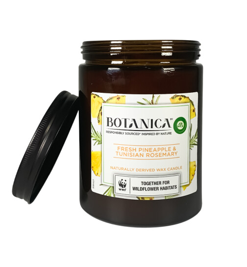 Air Wick Botanica Wax-Duftkerze im Glas Fresh Ananas &amp; Tunesischer Rosmarin 500g