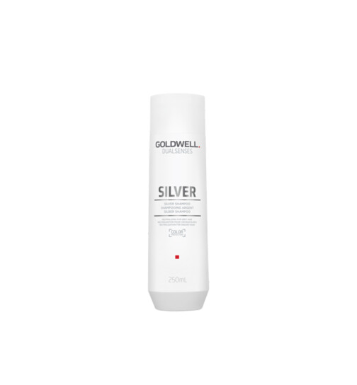 Goldwell Dualsenses Silver Shampoo f&uuml;r Graues Haar 250ml