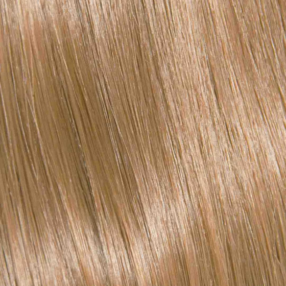 9.3 Lichtblond Gold